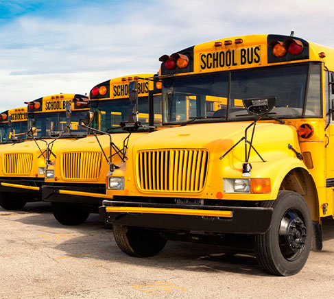 row of school buses
